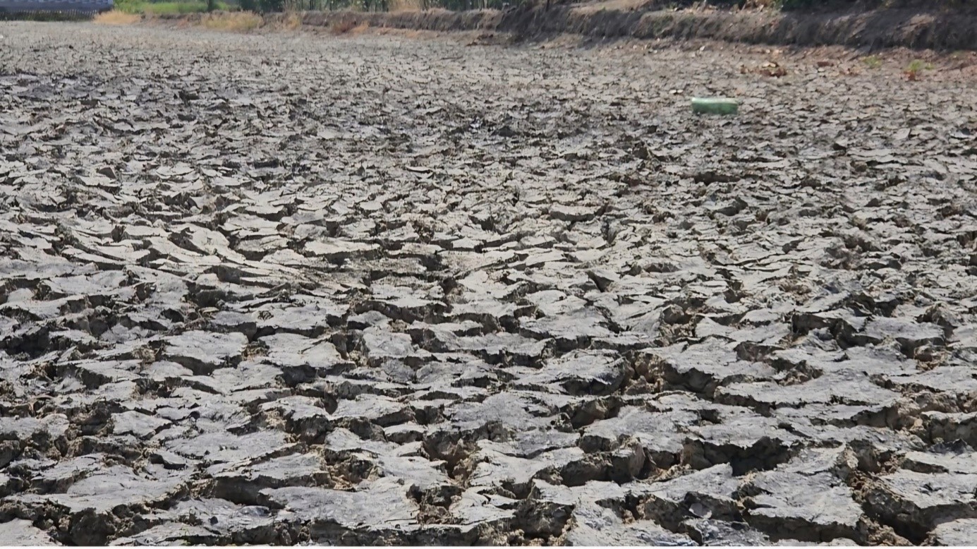 ĐỒNG BẰNG SÔNG CỬU LONG: KHÔNG ĐỂ NGƯỜI DÂN THIẾU NƯỚC